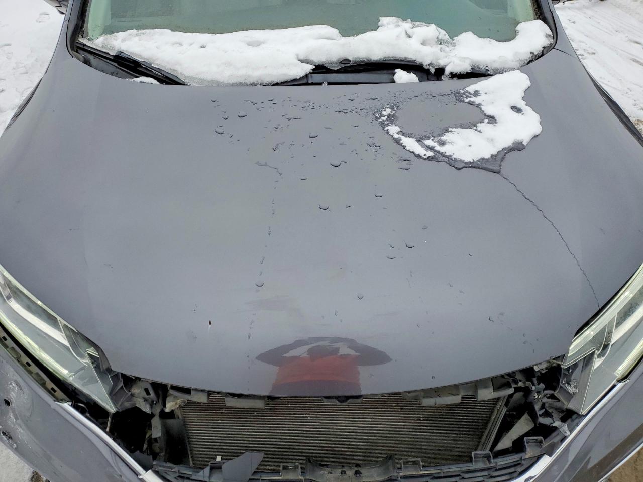 2016 HONDA CR-V EXL photo 11