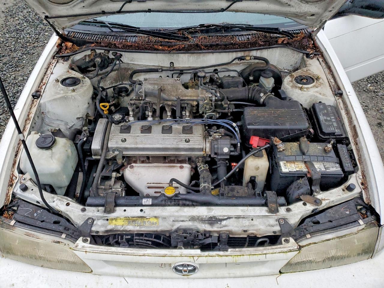 1996 TOYOTA COROLLA photo 11
