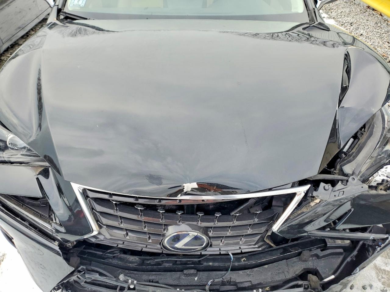2020 LEXUS NX photo 12