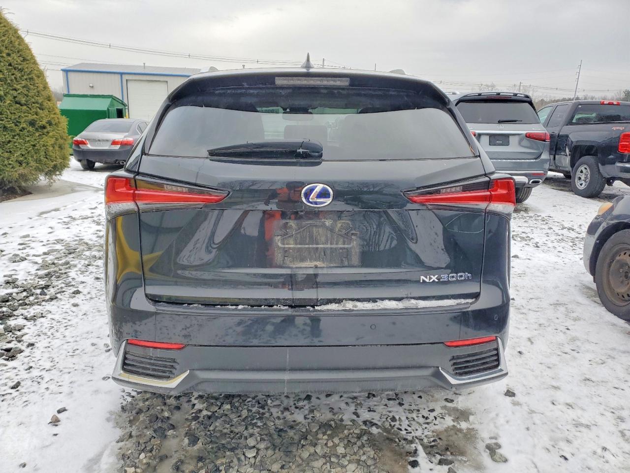 2020 LEXUS NX photo 6