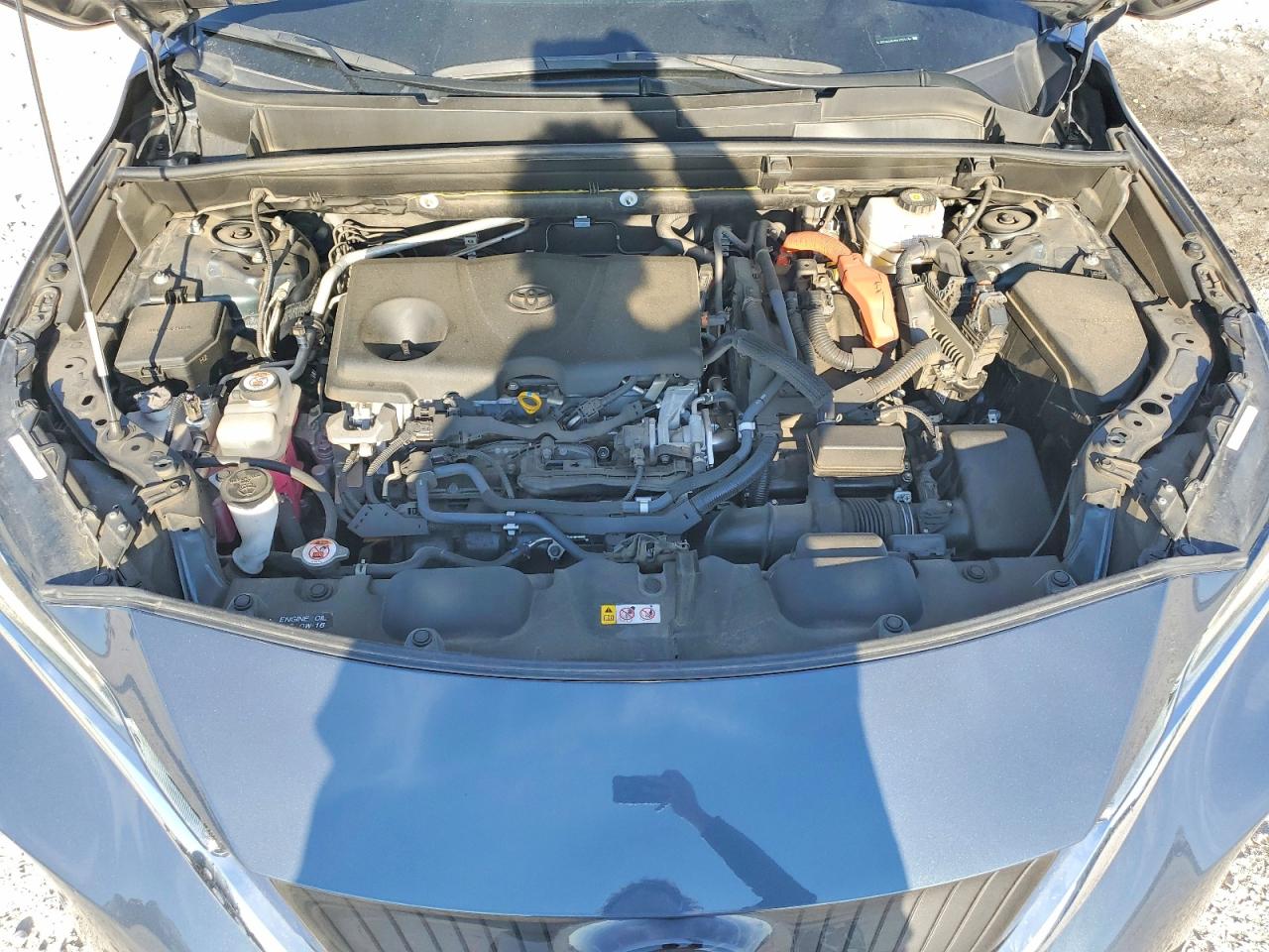 2021 TOYOTA VENZA LE photo 12