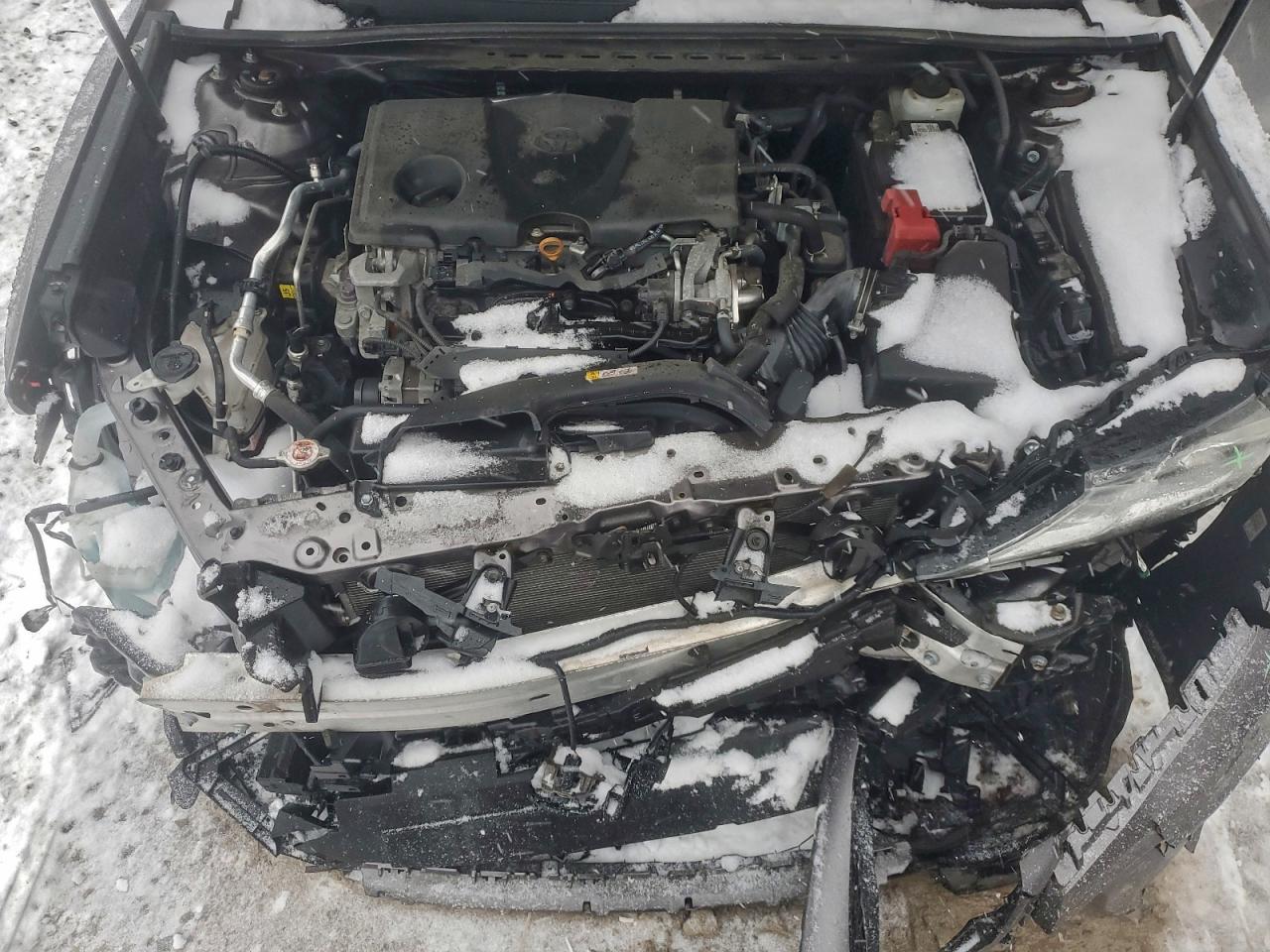 2019 TOYOTA CAMRY L photo 11