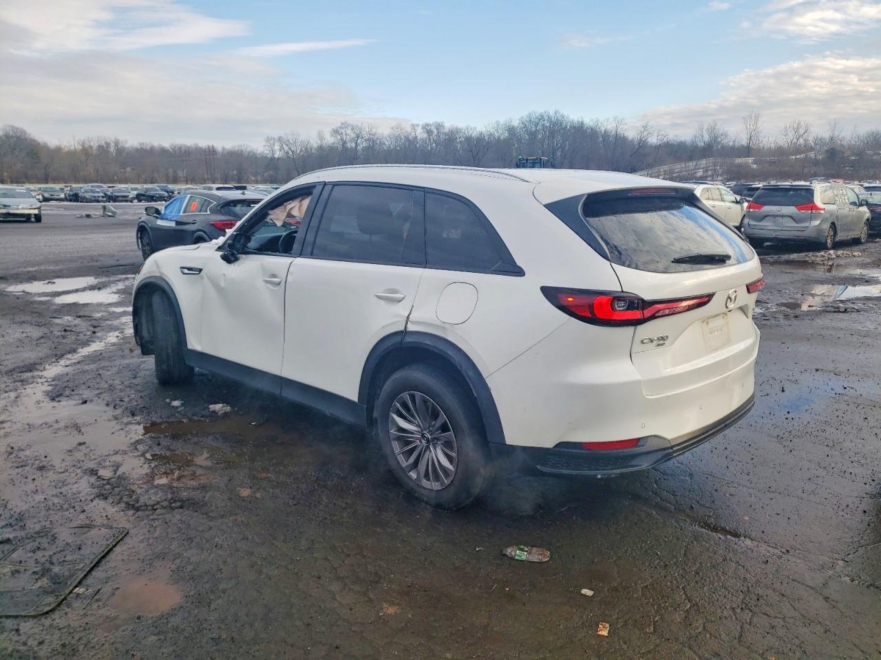 2025 MAZDA CX-90 PREFERRED photo 2