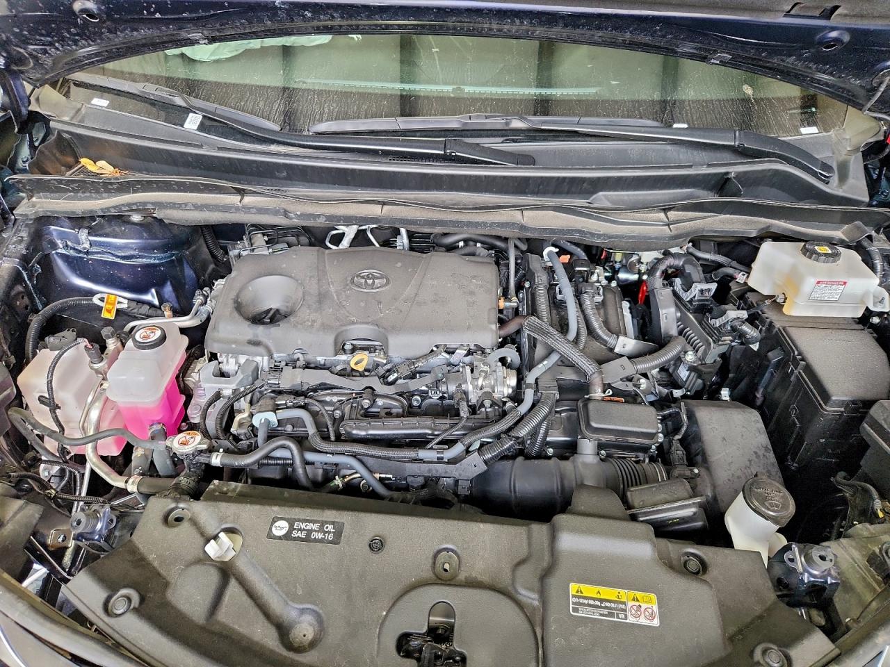 2025 TOYOTA SIENNA XLE photo 12