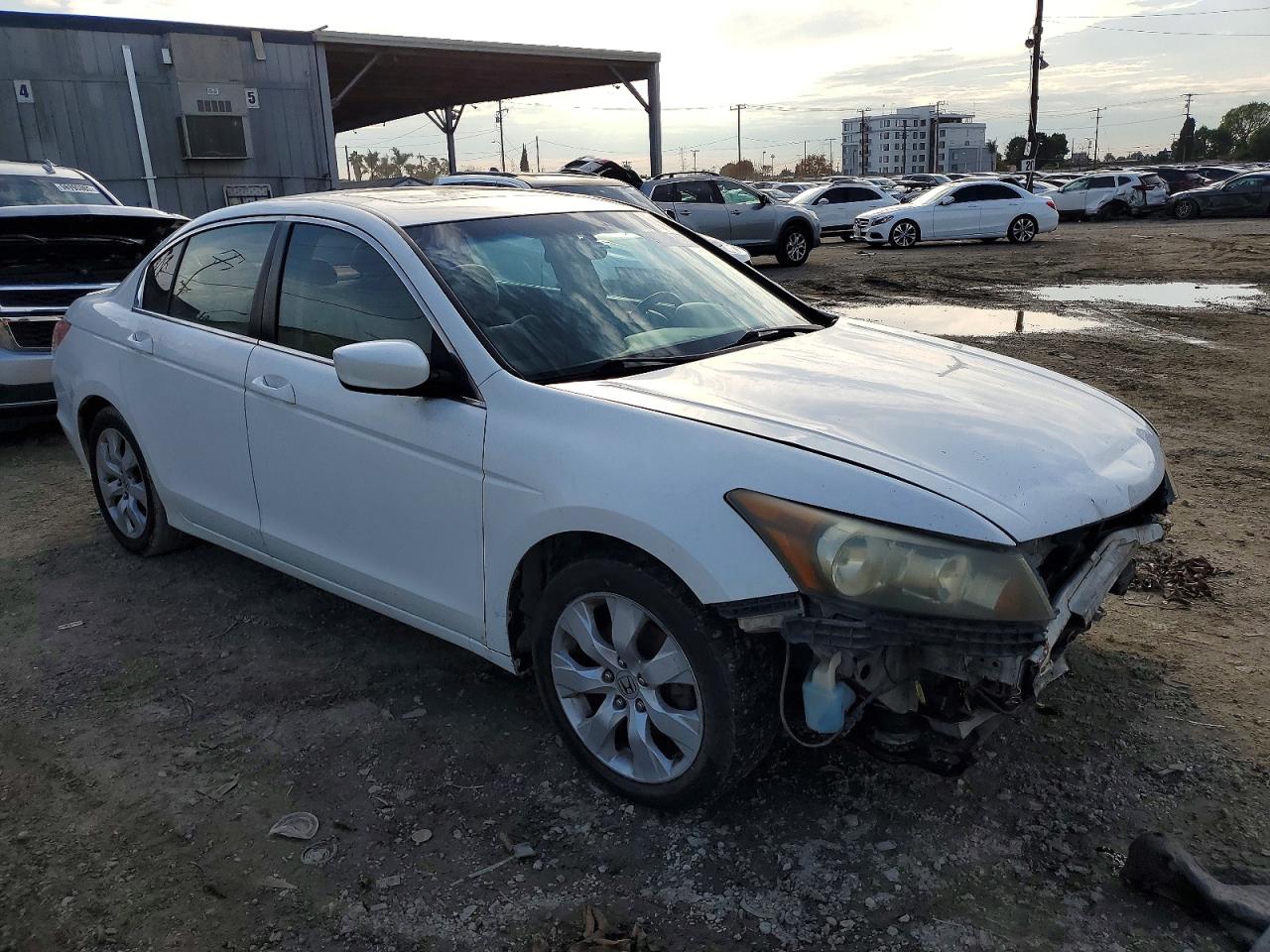 2010 HONDA ACCORD photo 4