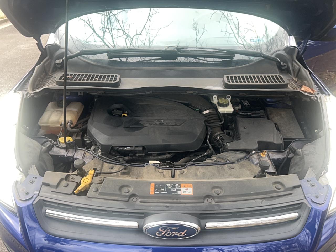 2014 FORD ESCAPE SE photo 13