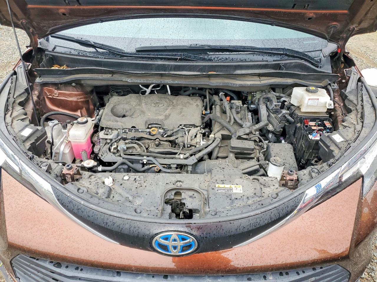2021 TOYOTA SIENNA LE photo 12