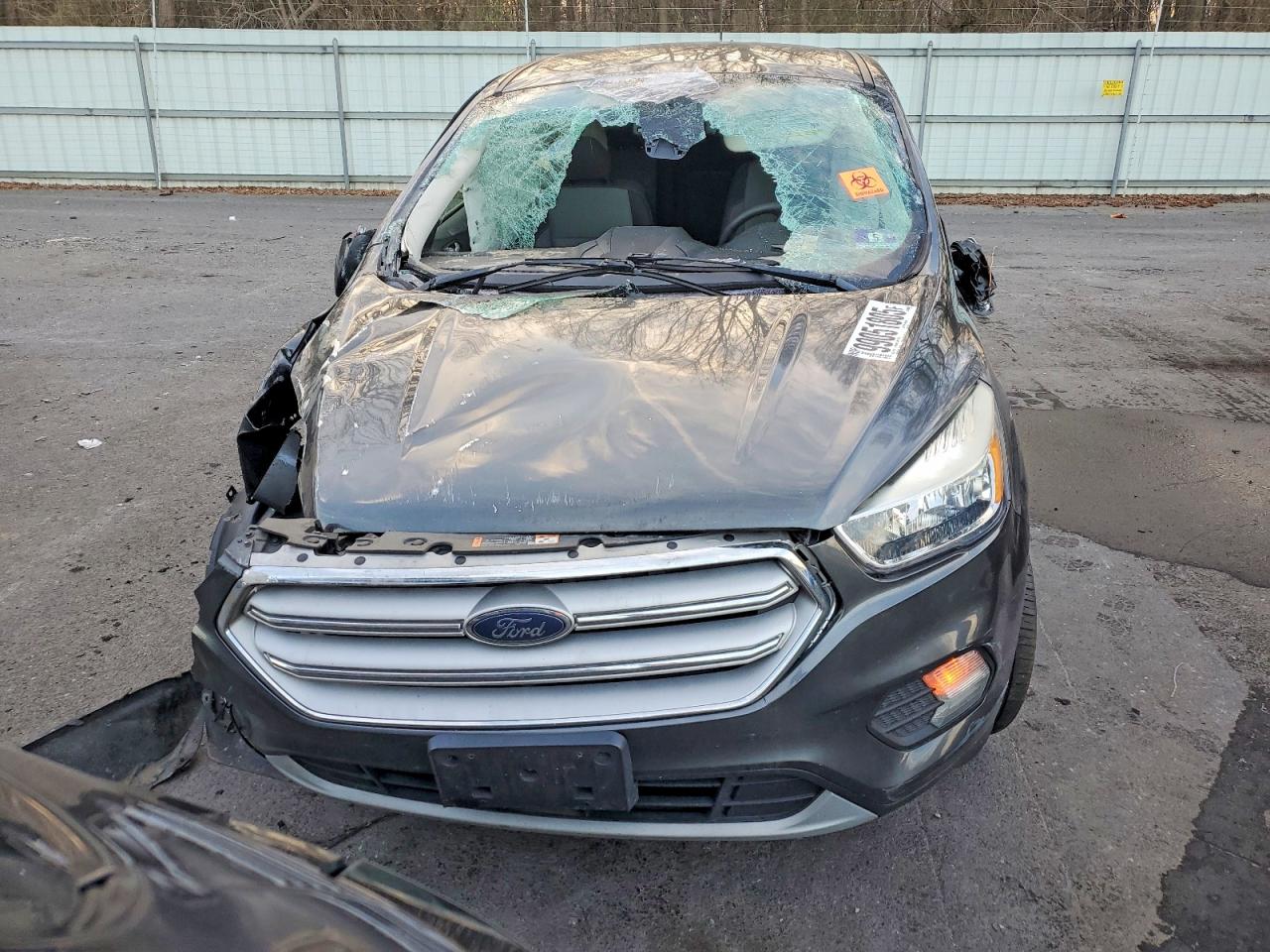 2019 FORD ESCAPE SE photo 9