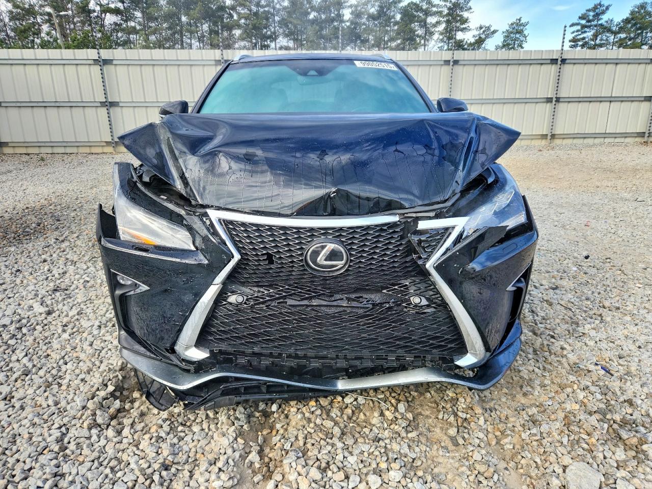 2018 LEXUS RX 350 BASE photo 9