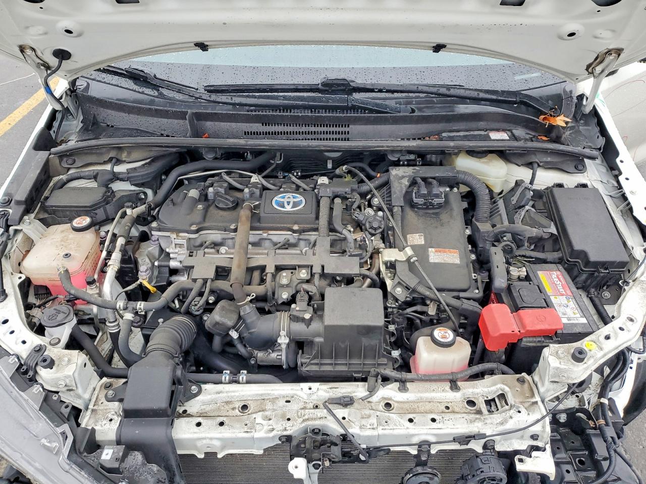 2020 TOYOTA COROLLA LE photo 11
