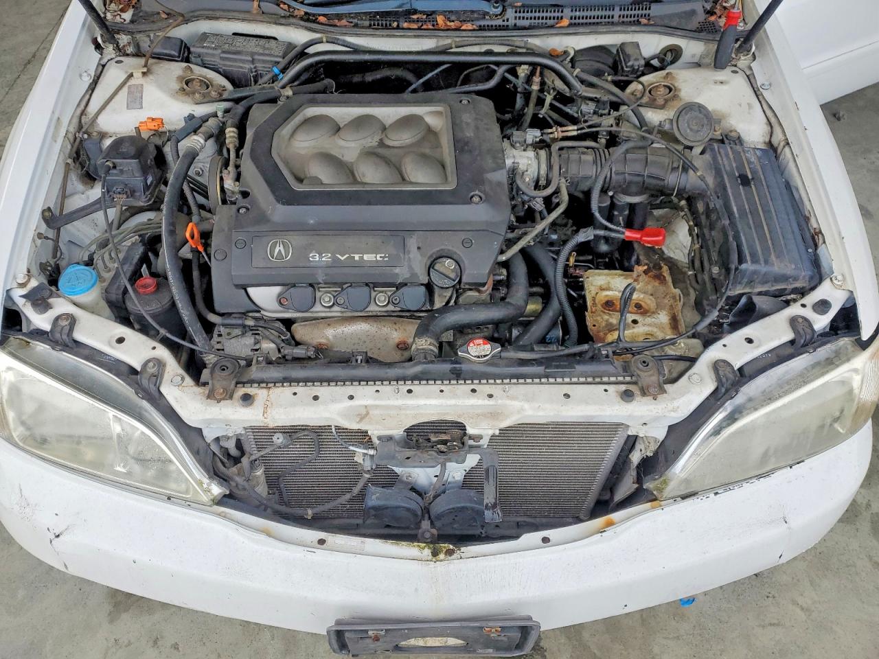 1999 ACURA 3.2TL photo 11