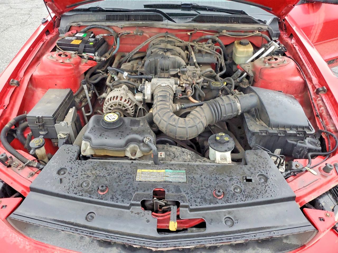 2006 FORD MUSTANG photo 11