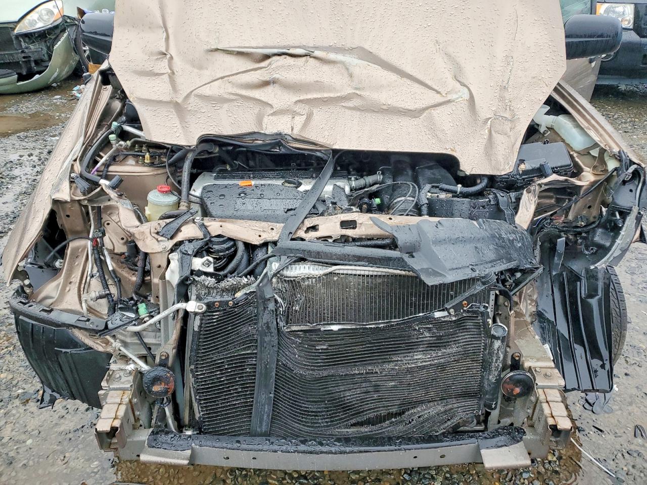 2002 HONDA CR-V LX photo 11