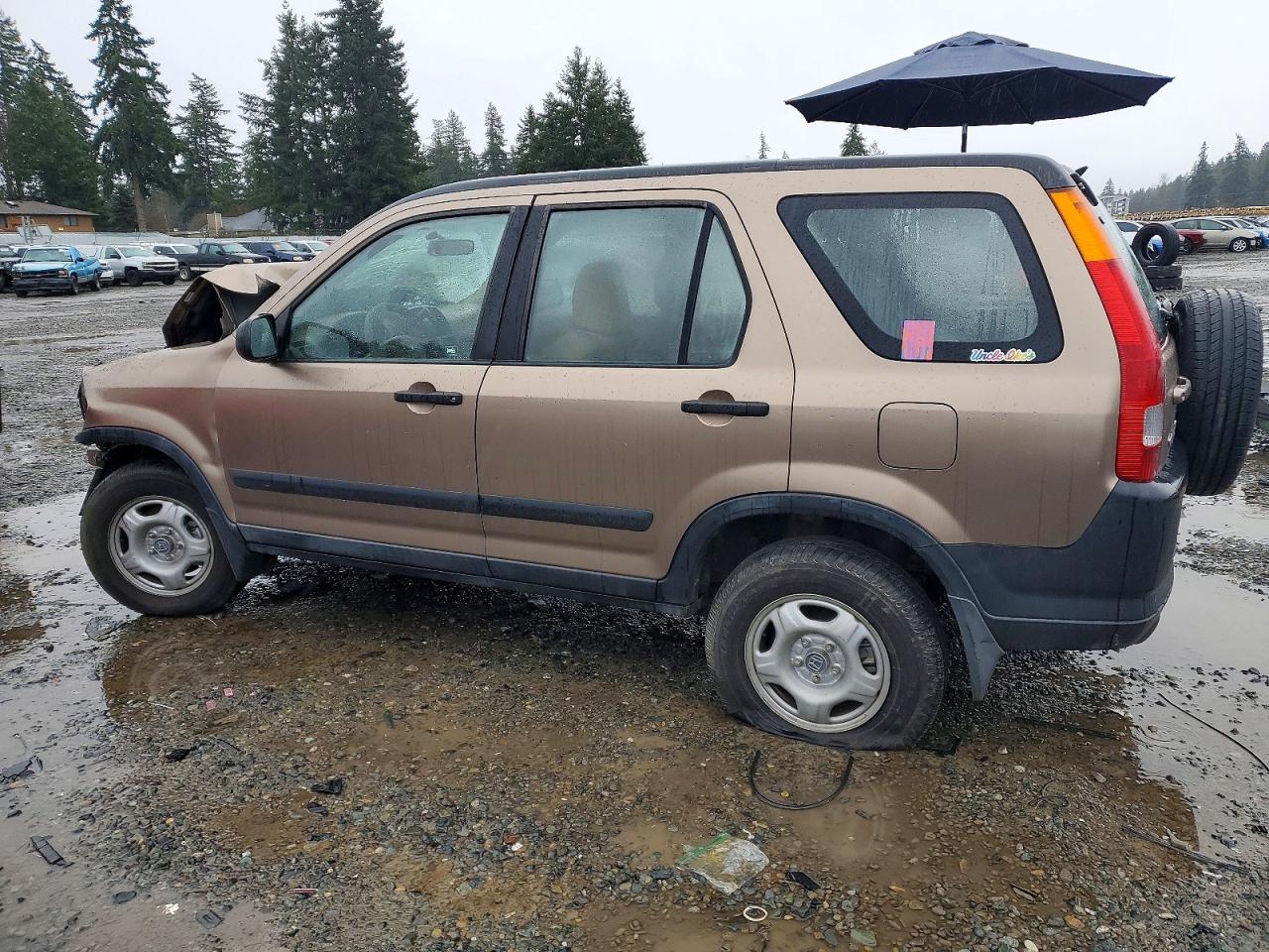 2002 HONDA CR-V LX photo 2
