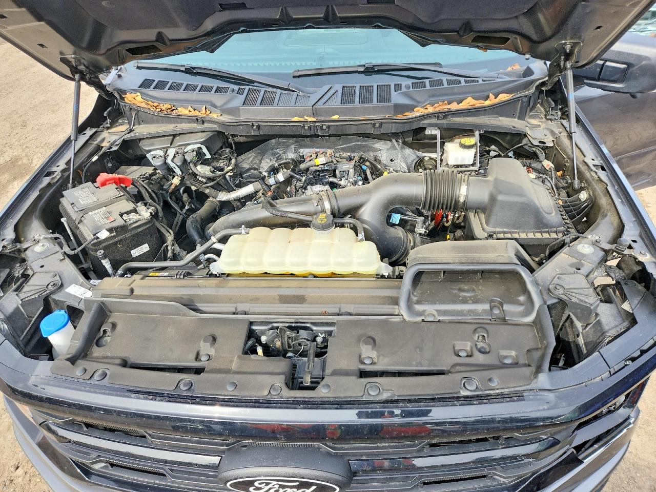 2024 FORD F150 XLT photo 11