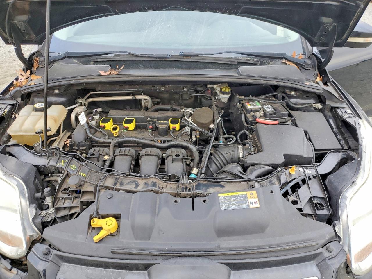 2013 FORD FOCUS SE photo 11