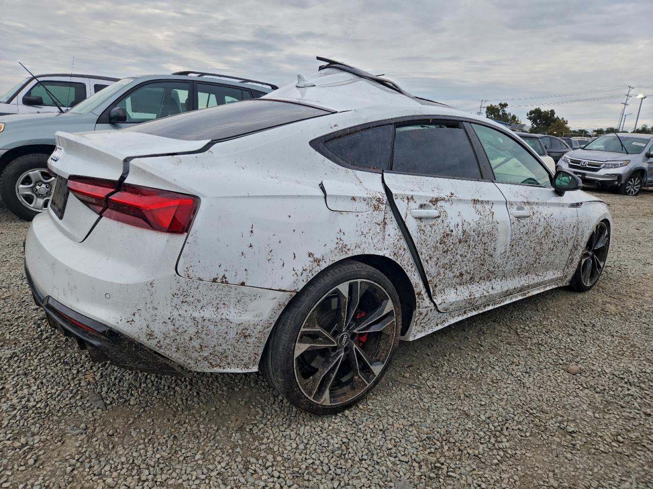 2020 AUDI S5 PREMIUM PLUS photo 3