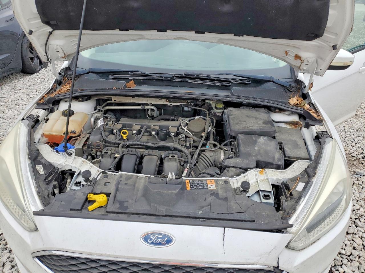 2015 FORD FOCUS SE photo 11