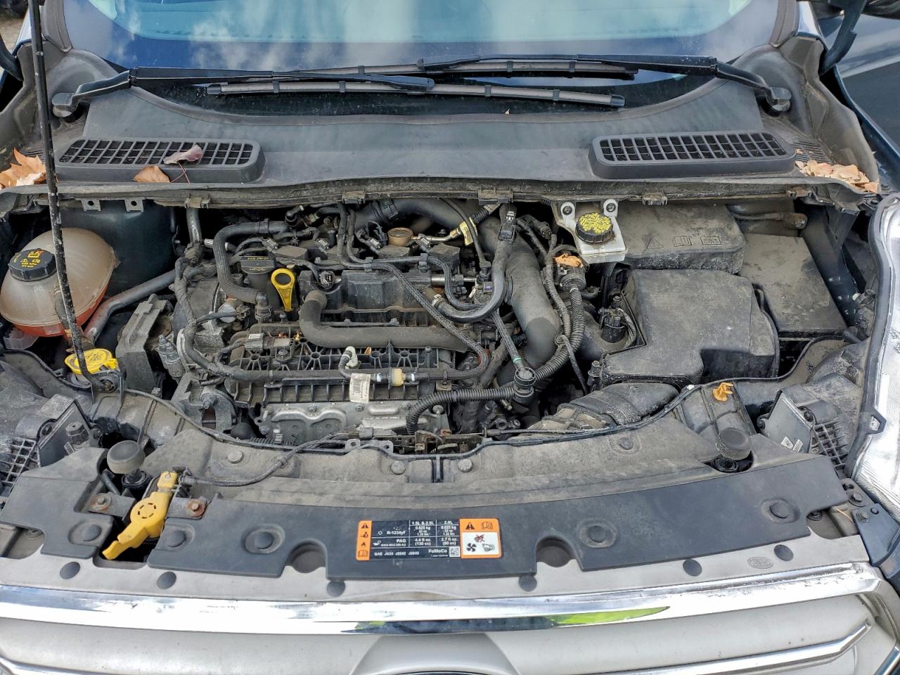 2019 FORD ESCAPE SEL photo 12