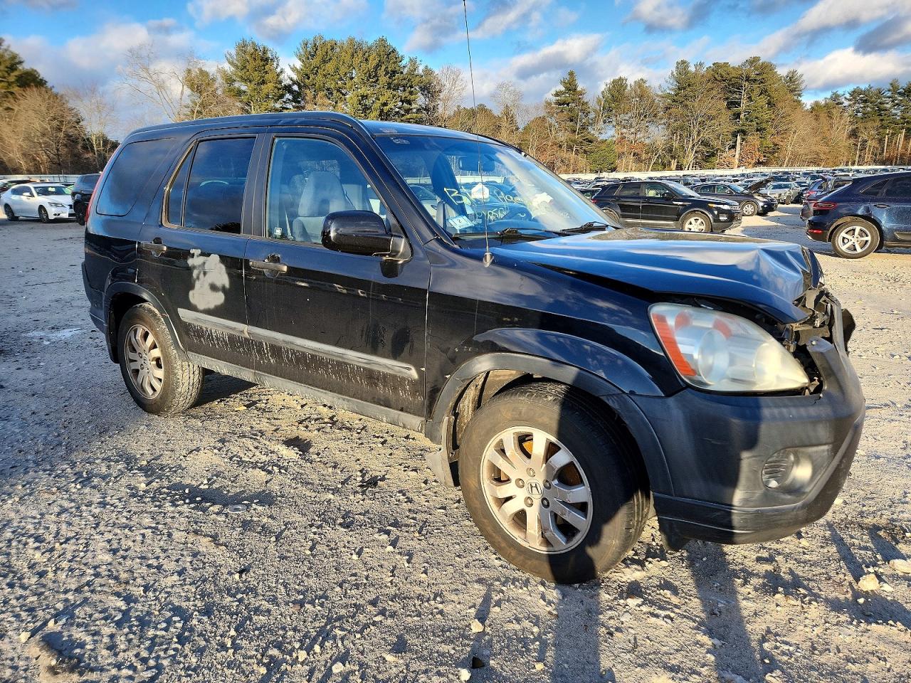 2005 HONDA CR-V EX photo 4