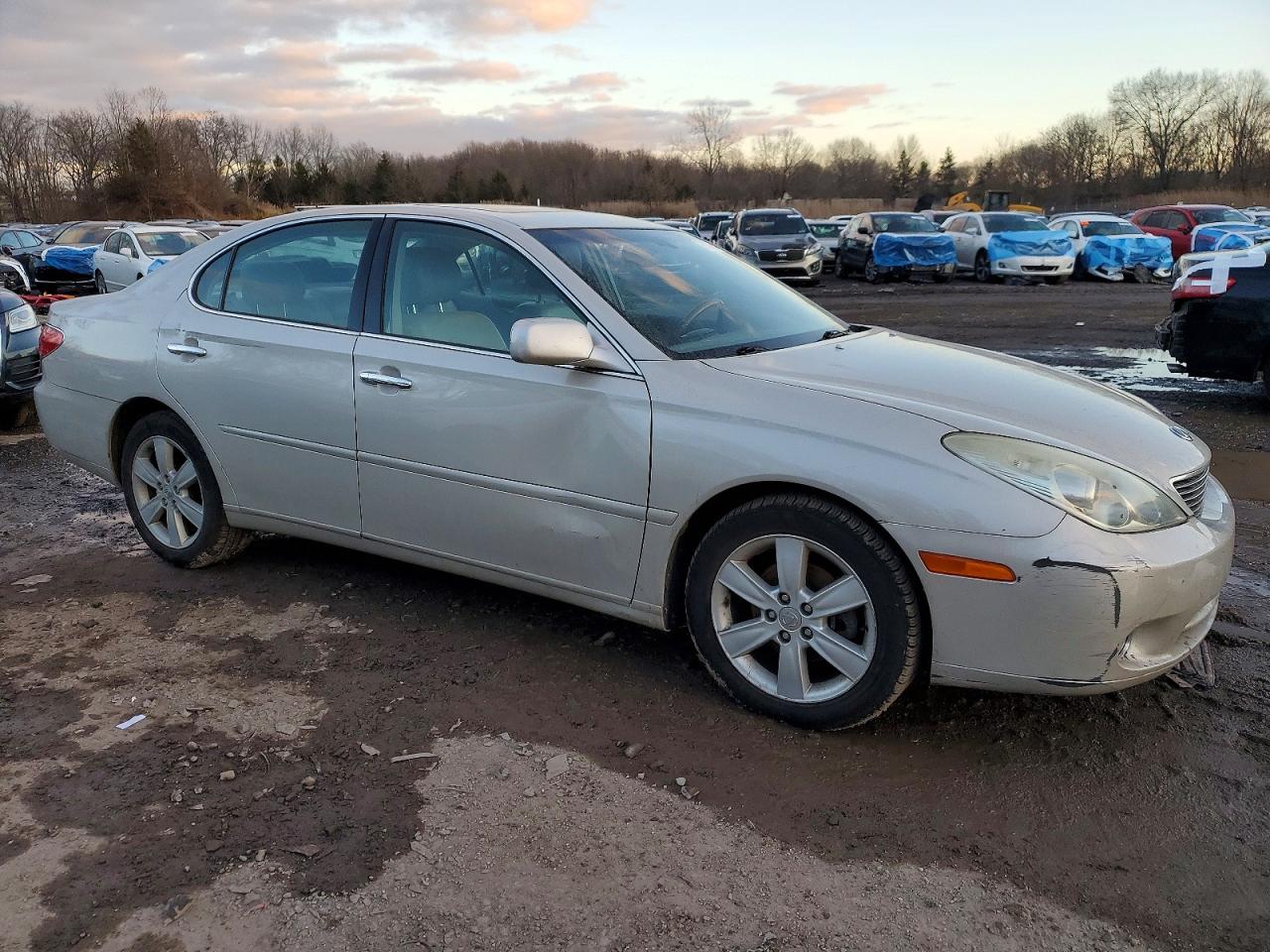 2005 LEXUS ES 330 photo 4