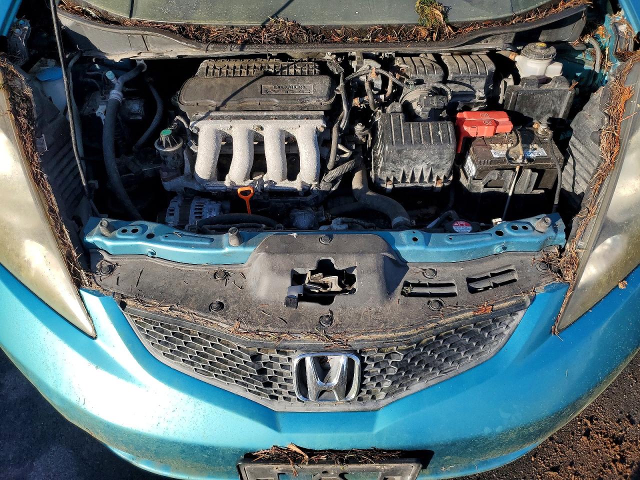 2013 HONDA FIT photo 11