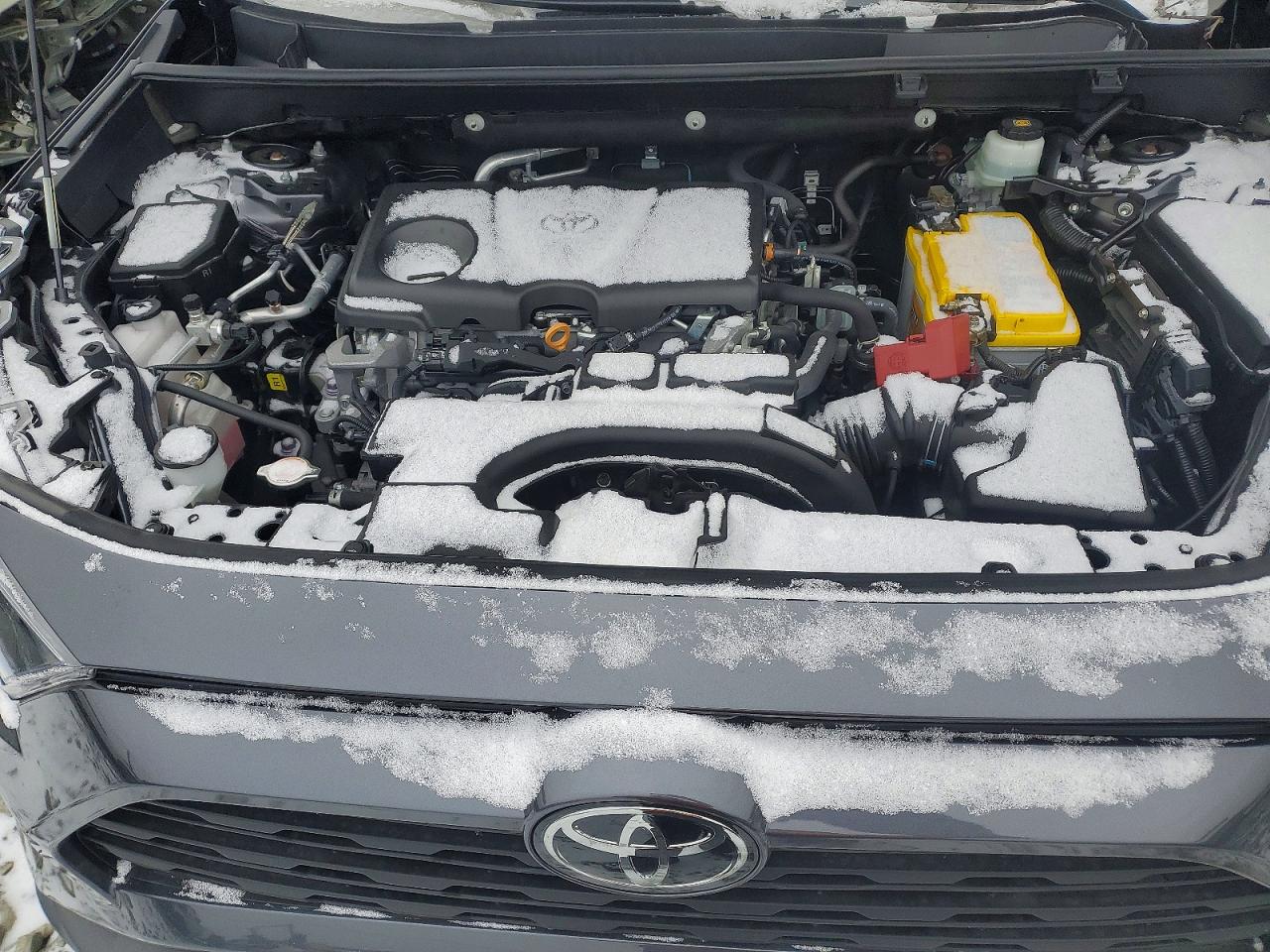 2021 TOYOTA RAV4 LE photo 12
