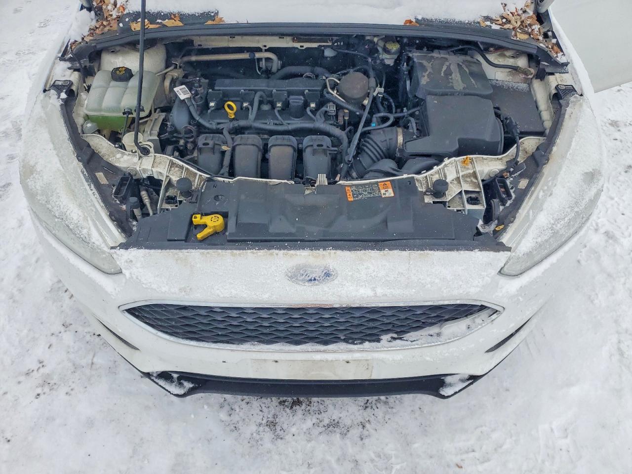 2015 FORD FOCUS SE photo 11
