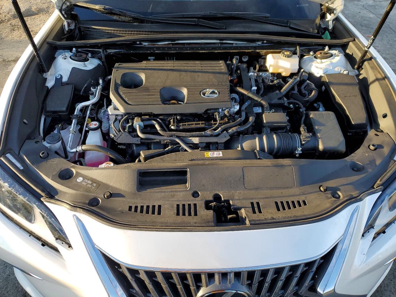 2025 LEXUS ES 300H BASE photo 21