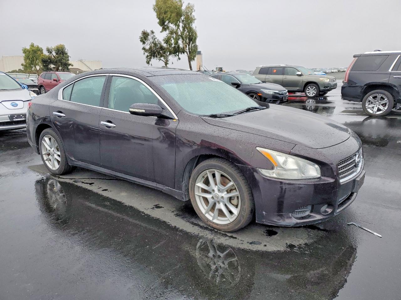 2010 NISSAN MAXIMA S photo 4