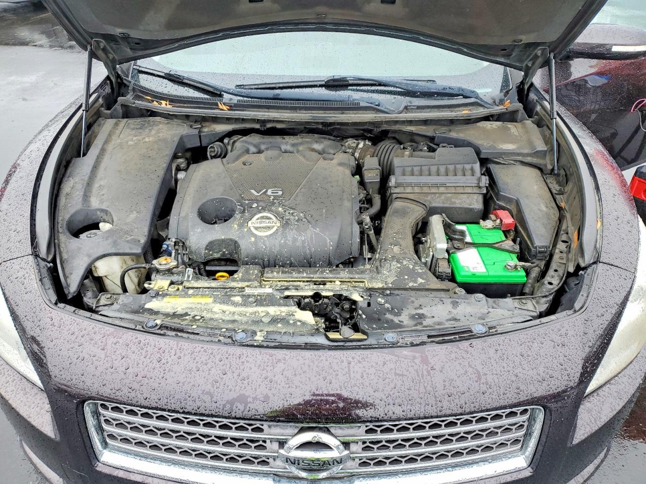 2010 NISSAN MAXIMA S photo 11