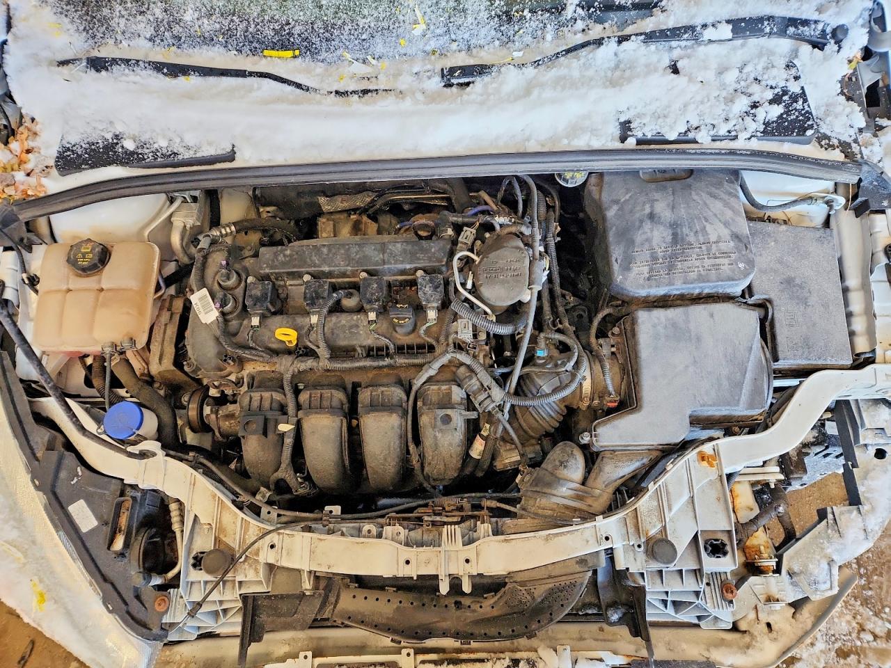 2015 FORD FOCUS SE photo 11