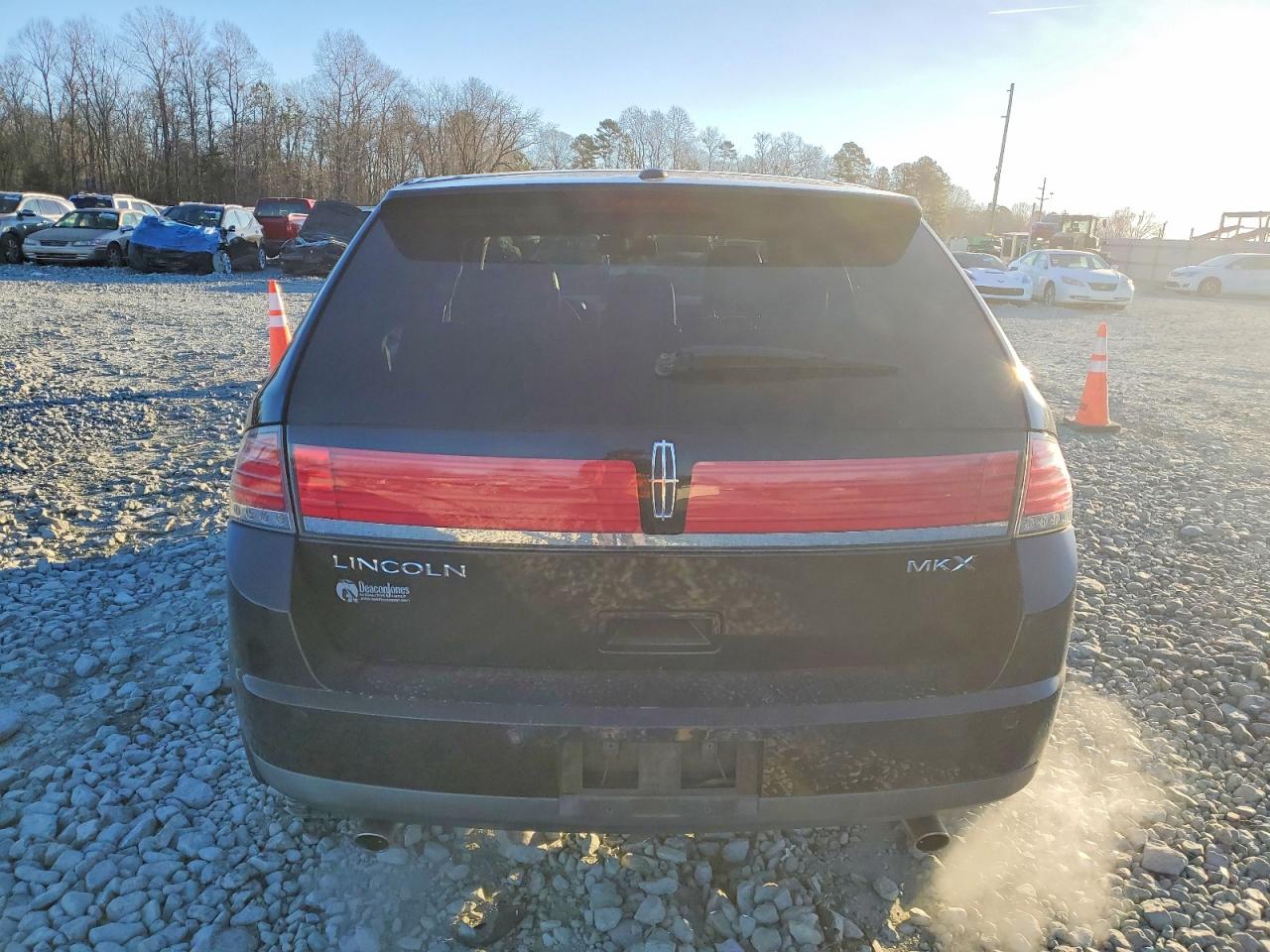 2010 LINCOLN MKX photo 6