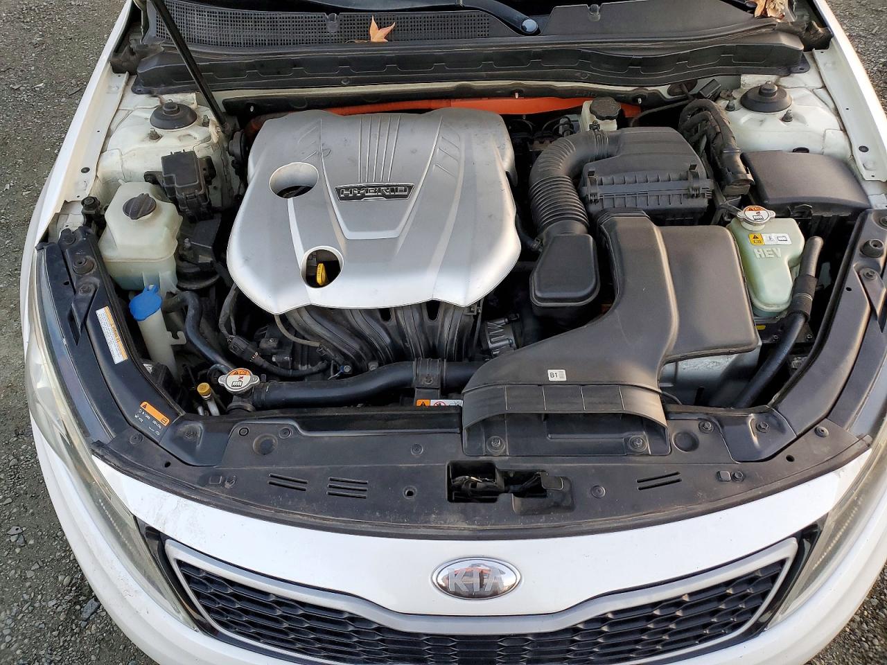 2013 KIA OPTIMA HYBRID photo 11