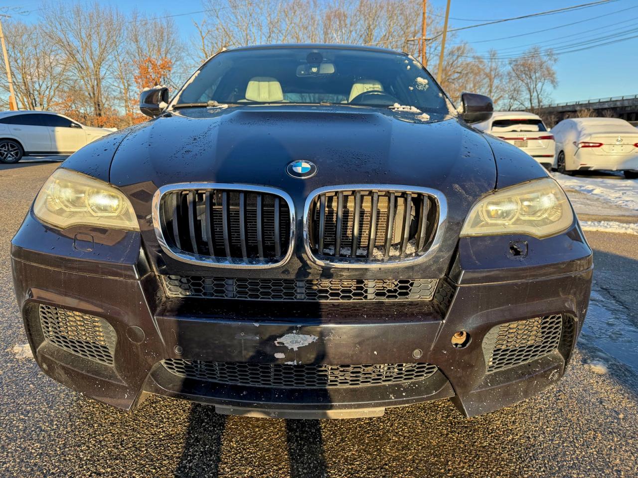 2014 BMW X6 M photo 11
