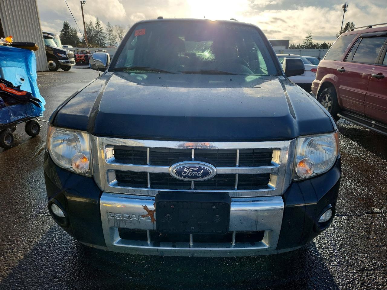 2012 FORD ESCAPE LIMITED photo 9