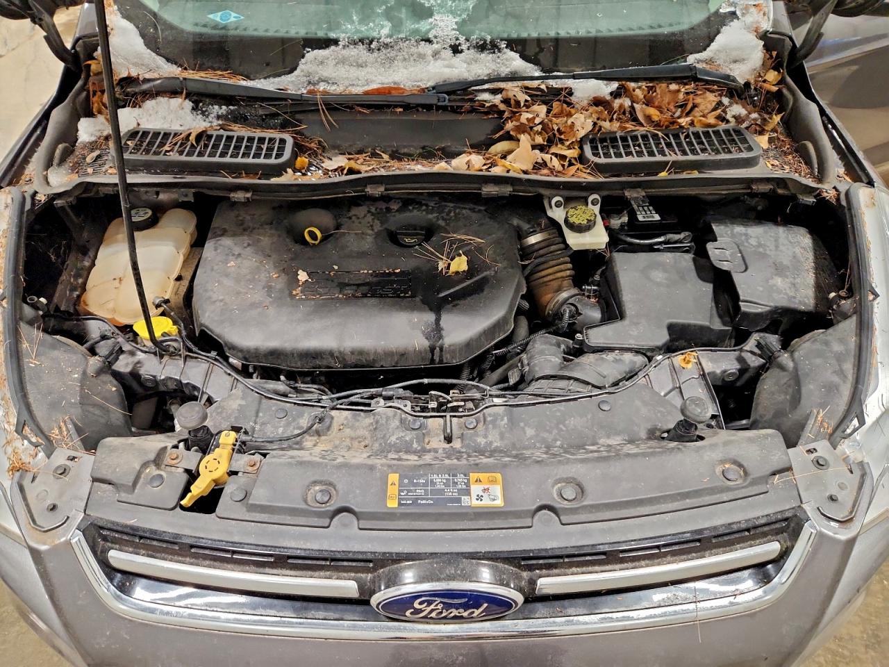 2014 FORD ESCAPE TITANIUM photo 11