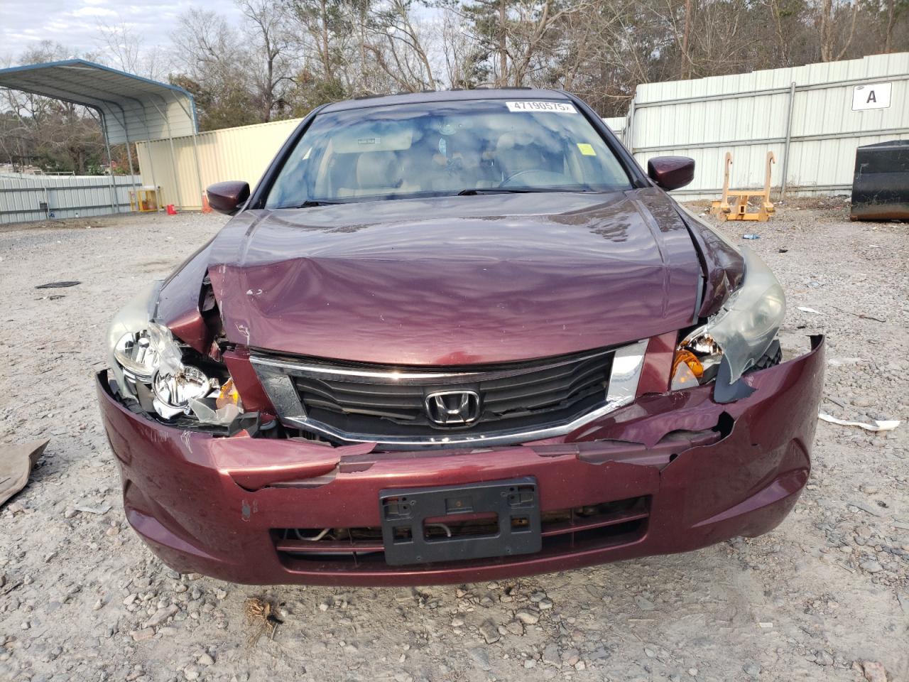 2010 HONDA ACCORD EXL photo 5