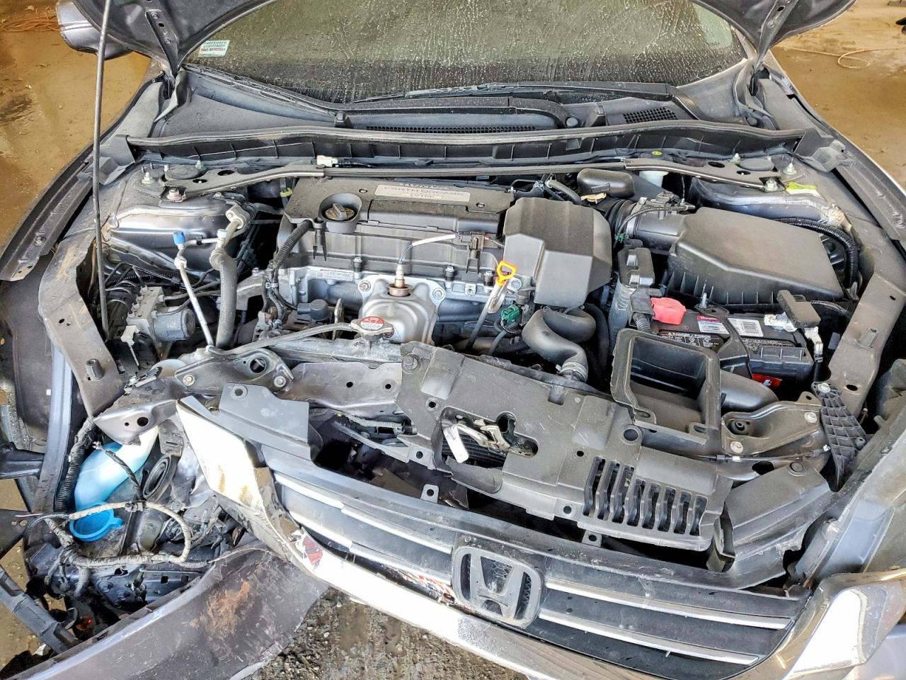 2013 HONDA ACCORD EXL photo 11