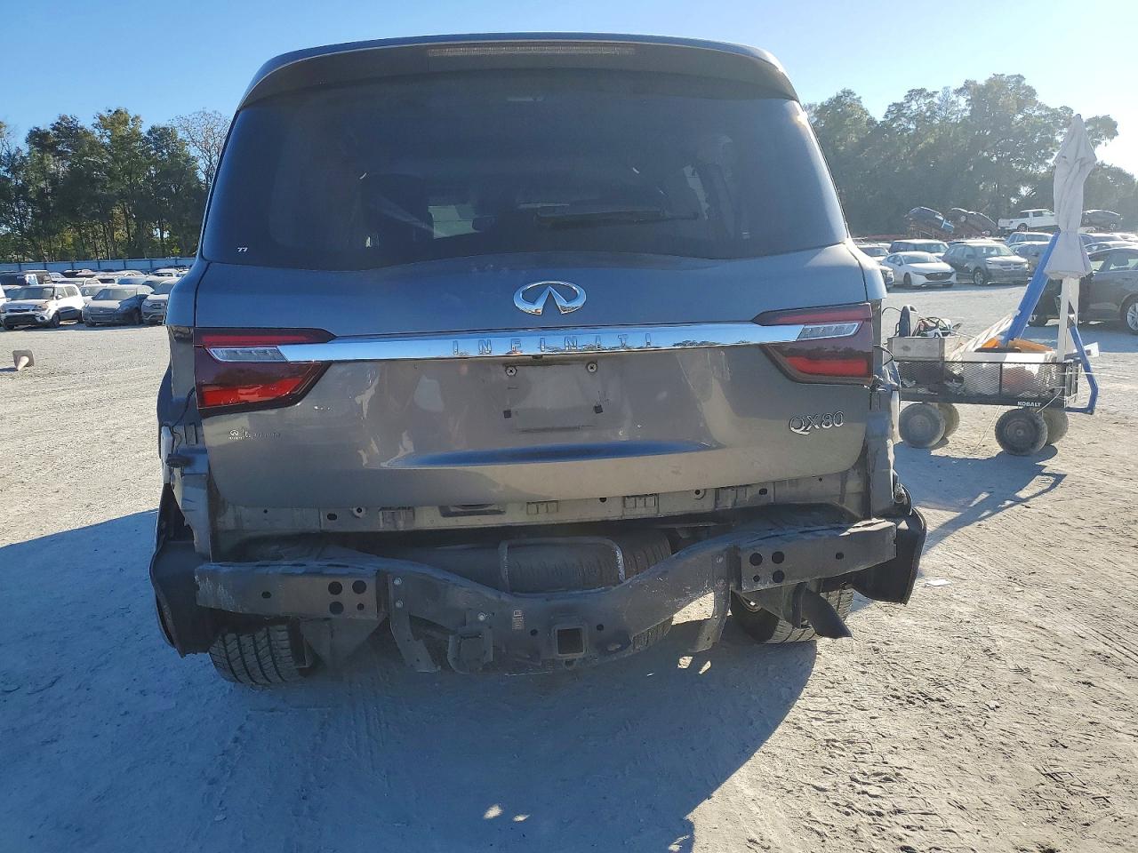 2019 INFINITI QX80 LUXE photo 6