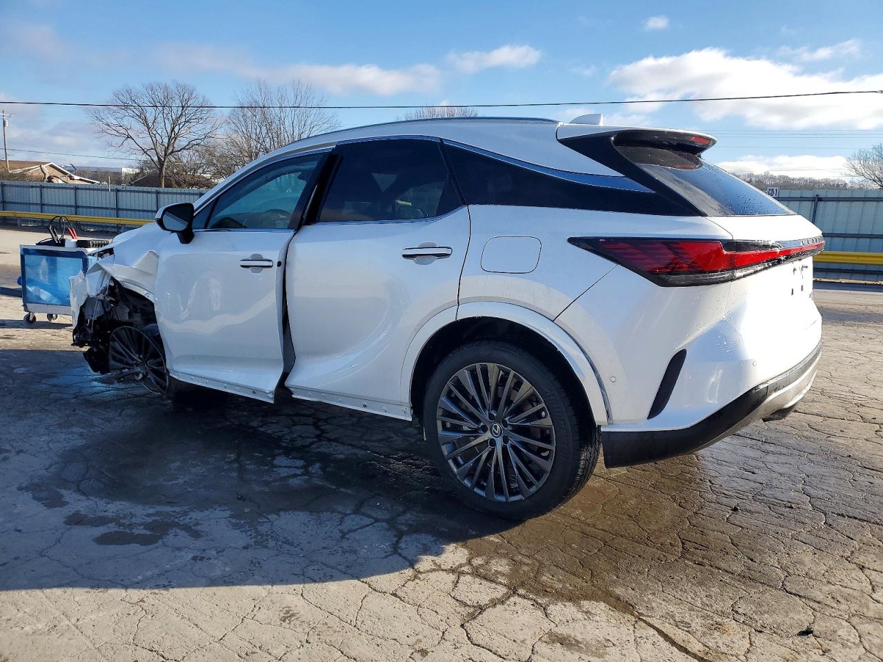2025 LEXUS RX 350 BASE photo 2