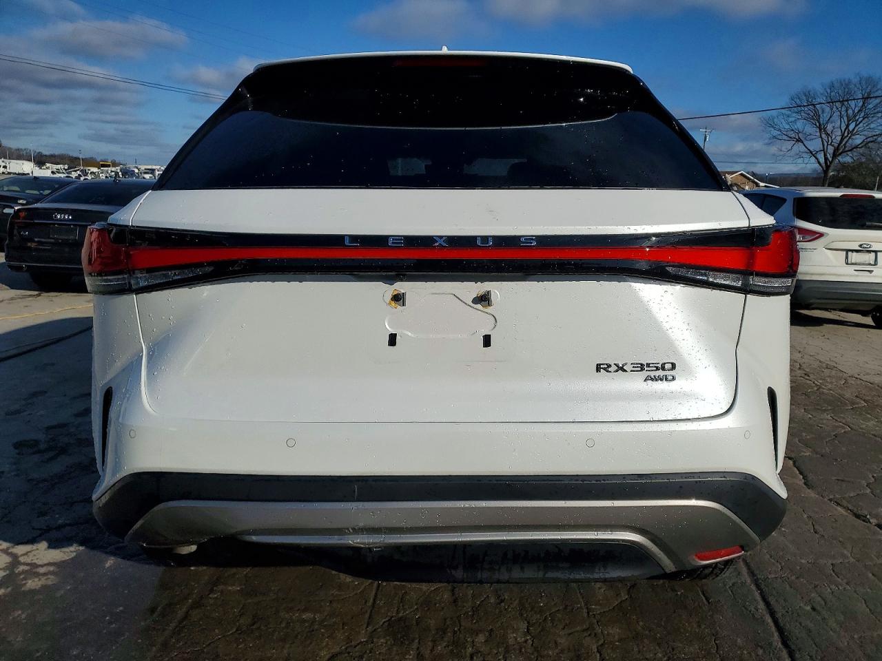2025 LEXUS RX 350 BASE photo 6