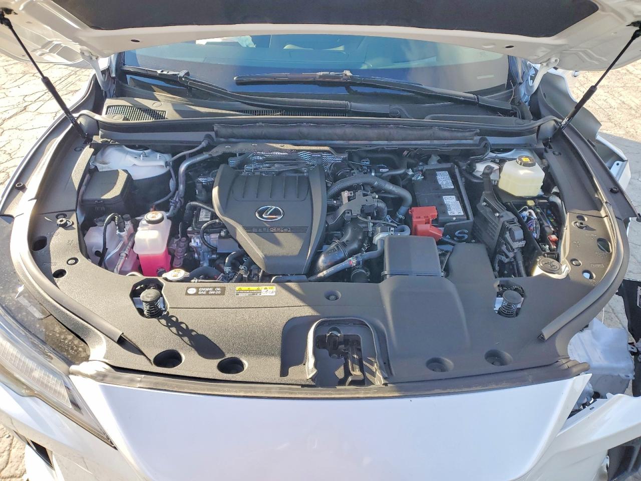 2025 LEXUS RX 350 BASE photo 12
