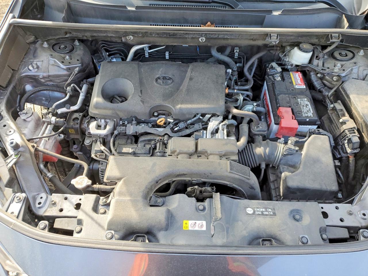 2021 TOYOTA RAV4 LE photo 12