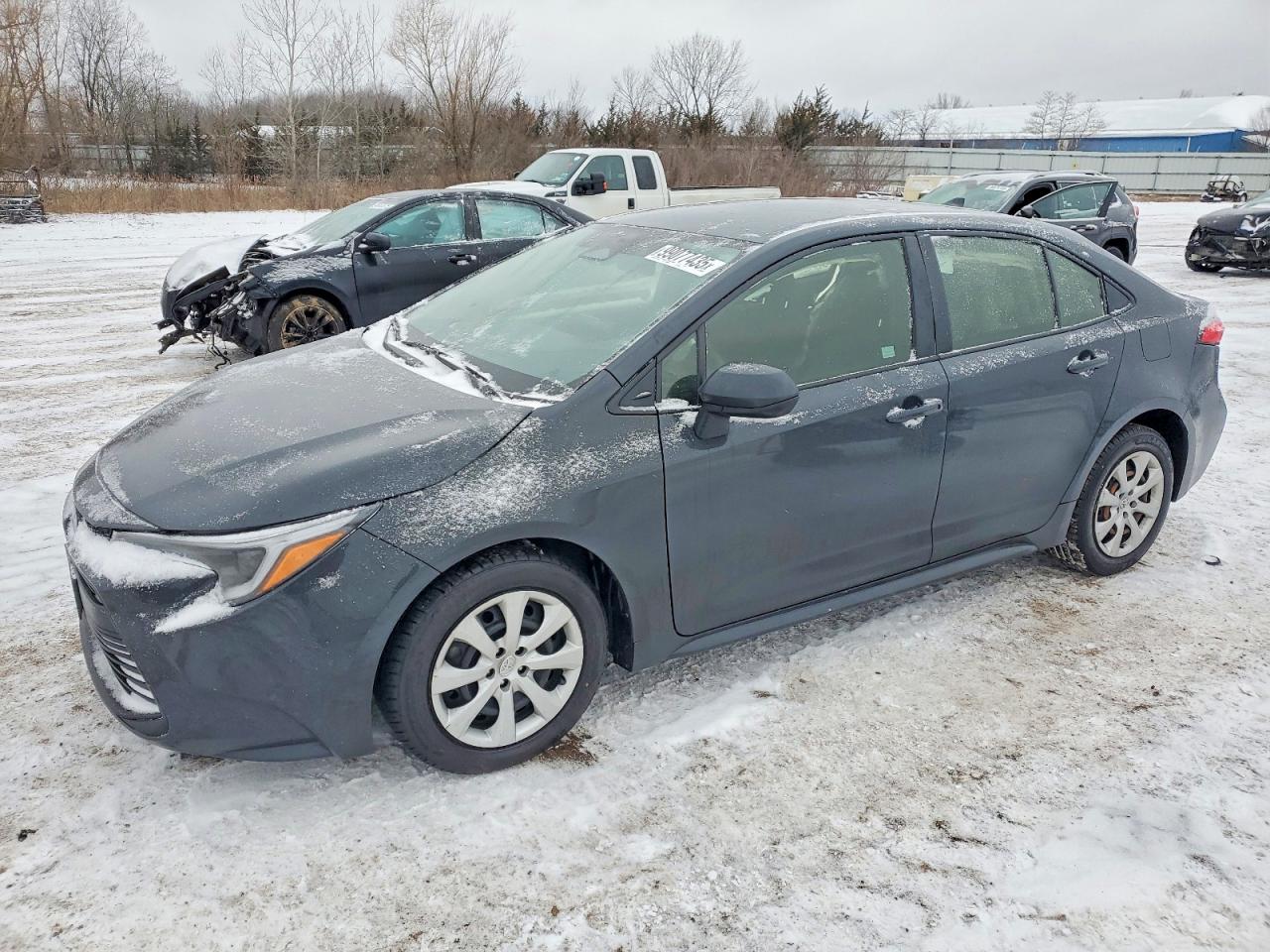 2023 TOYOTA COROLLA
