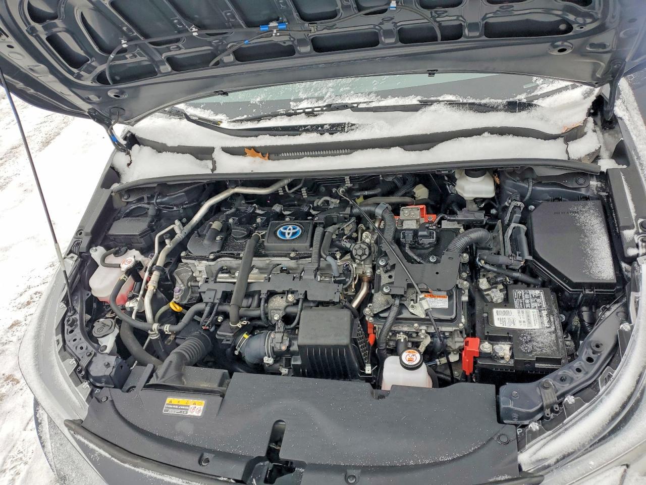 2023 TOYOTA COROLLA LE photo 11