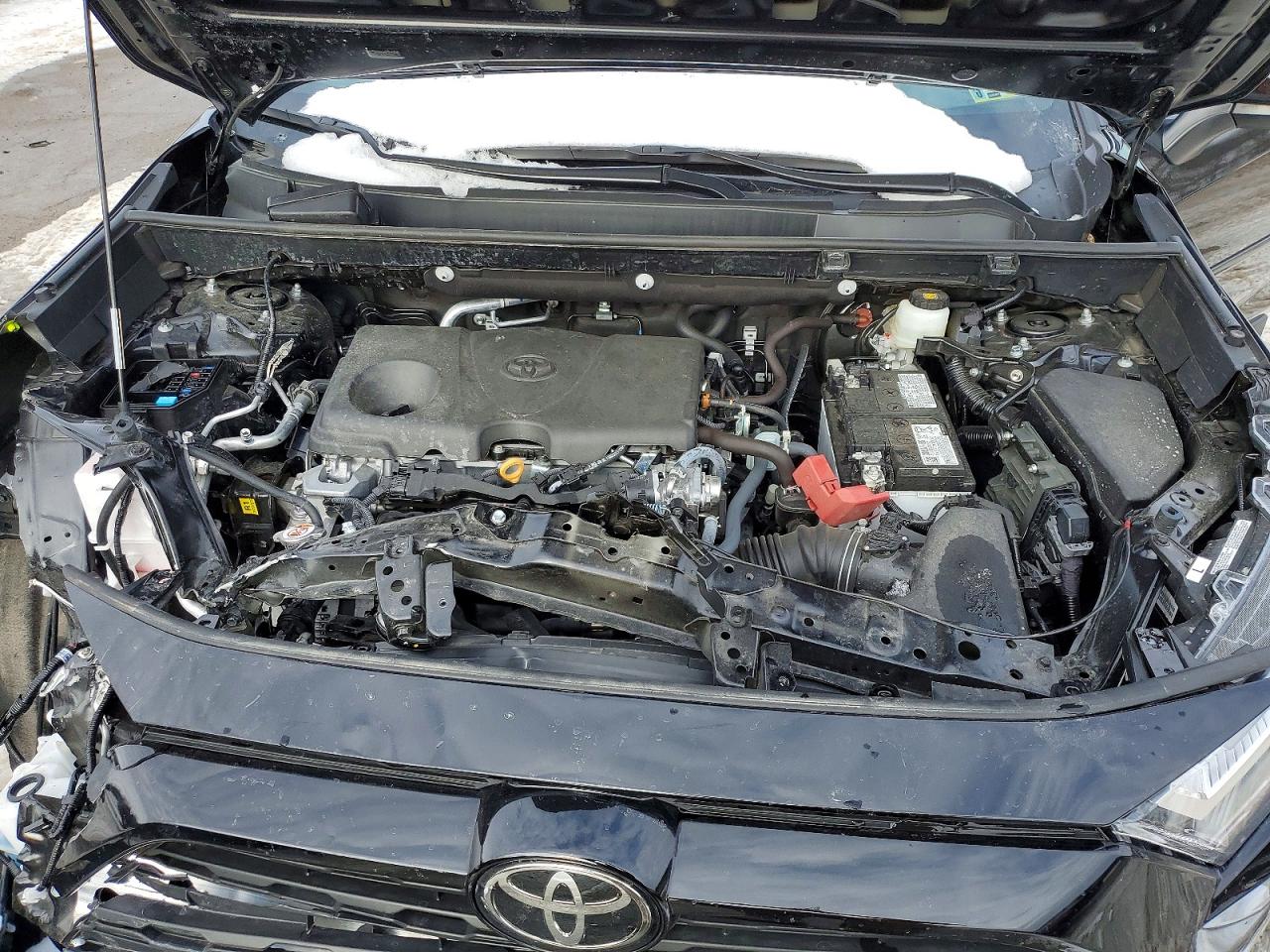 2025 TOYOTA RAV4 XLE photo 12