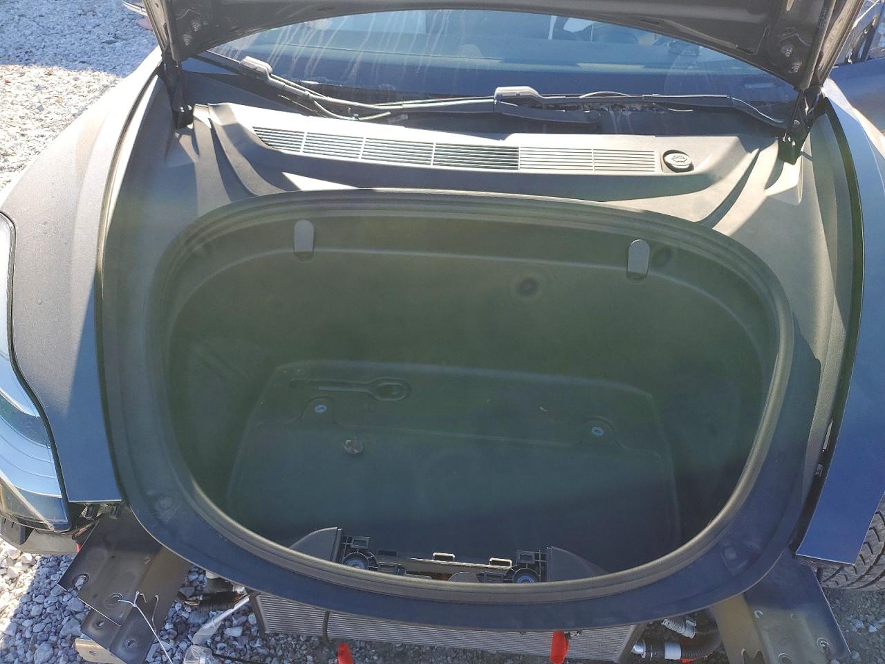 2019 TESLA MODEL 3 photo 11
