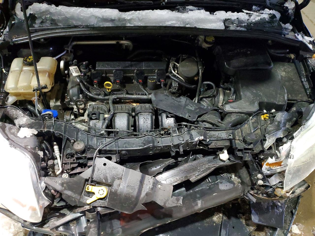 2014 FORD FOCUS SE photo 11