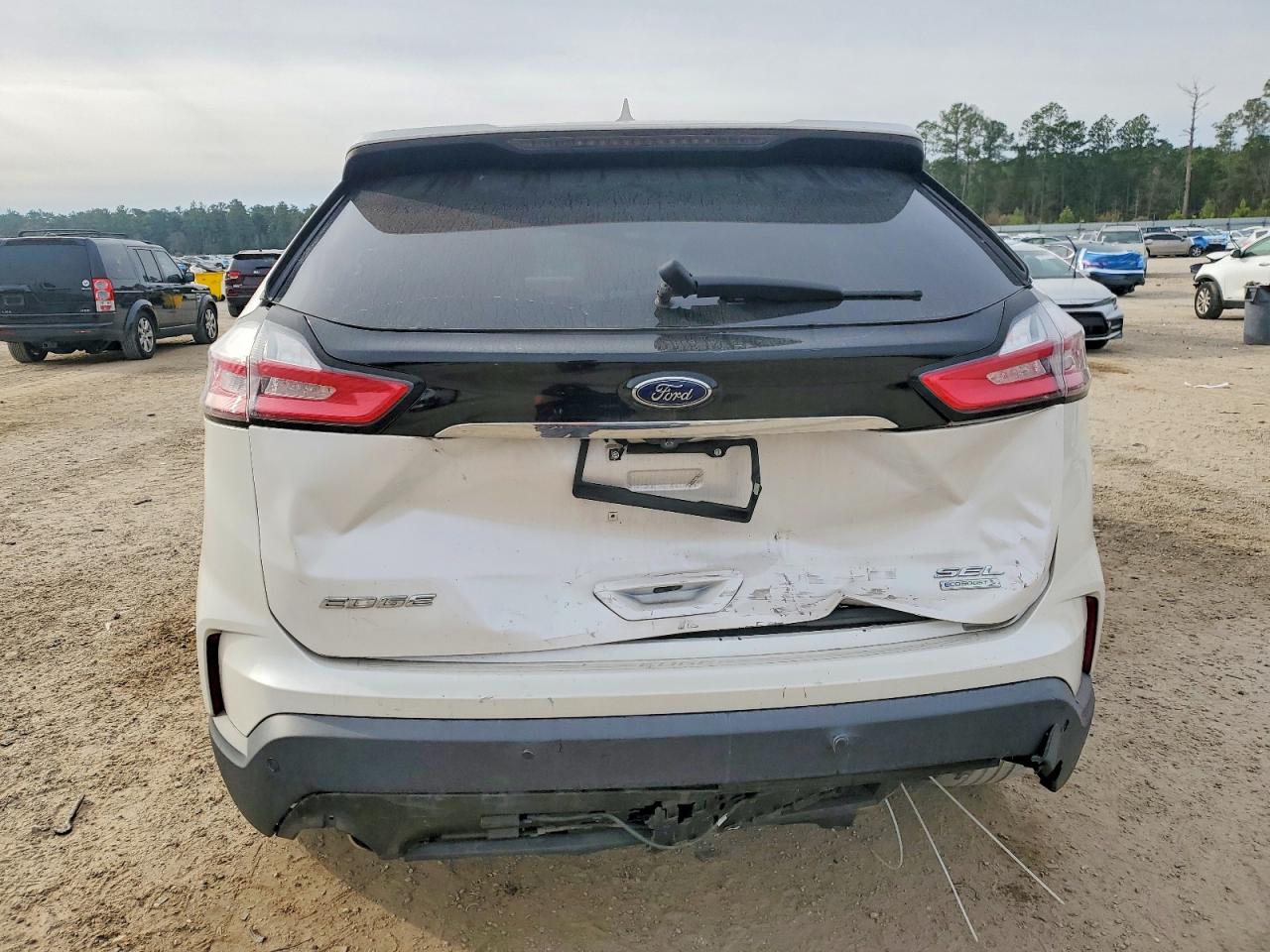 2019 FORD EDGE SEL photo 11